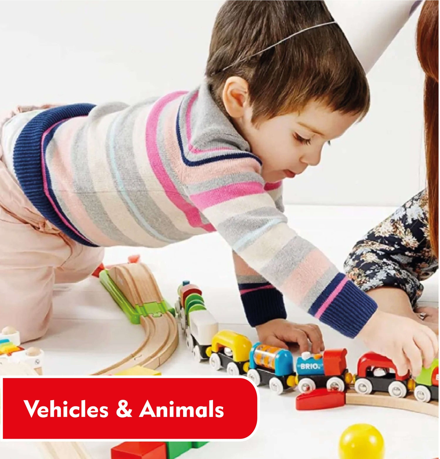 Vehicles & Animals